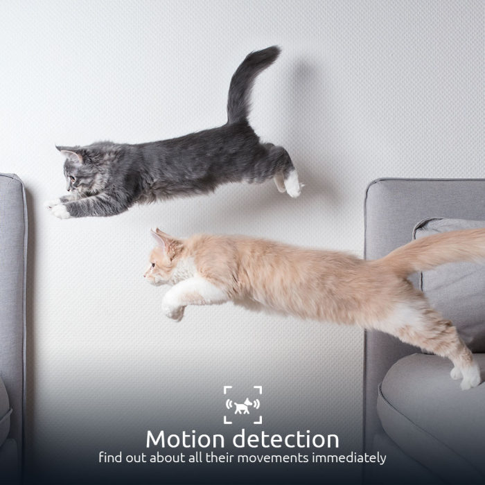 Comedor de mascota Inteligente con camara  2K - Imagen 5